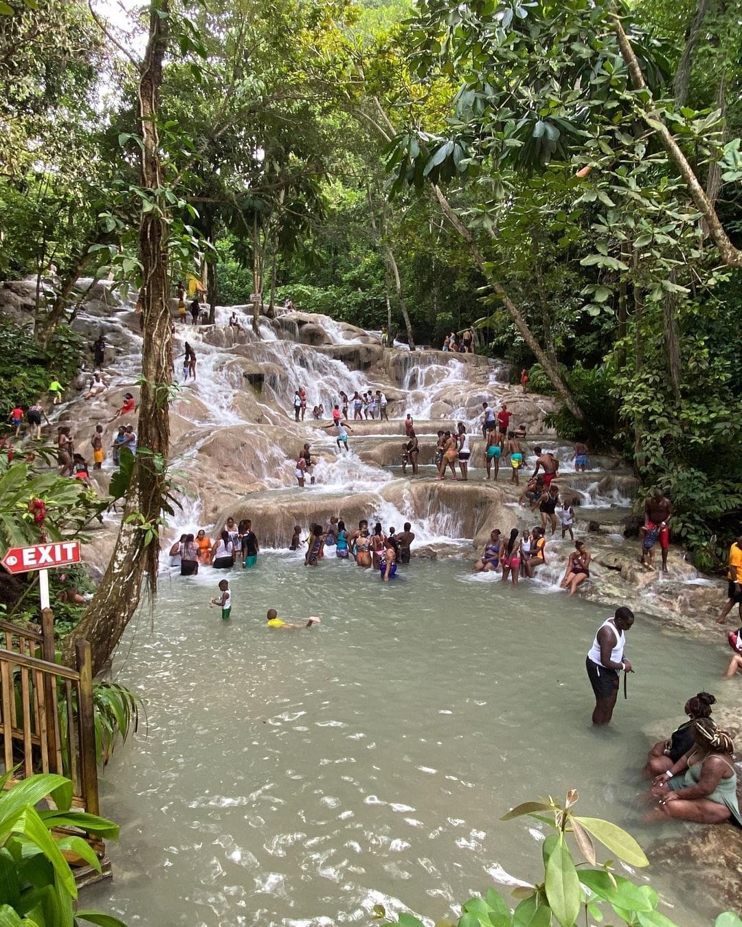 Jamaica Paradise